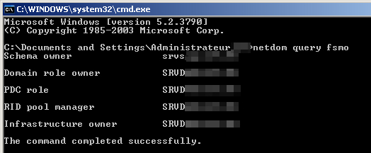 netdom query fsmo