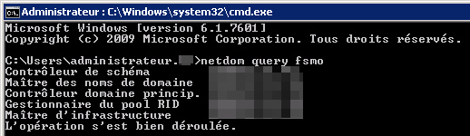 netdom query fsmo