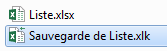 Fichier .xlk